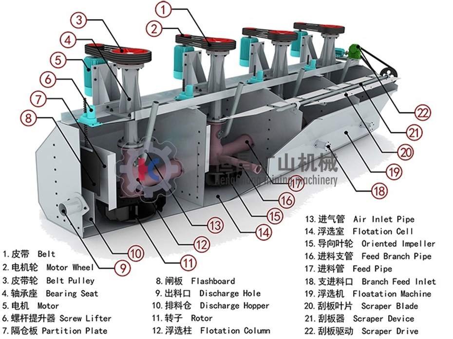 Gold Processing Plant Gold Ore Flotation Cells Flotation Mineral Processing