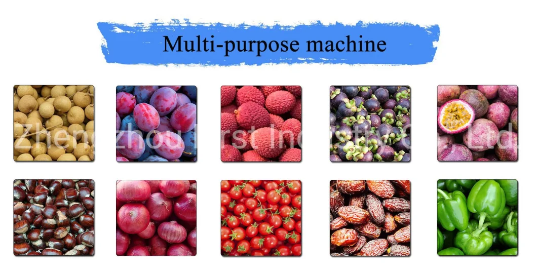 Fstsort Longan Fruit Sorter Grader/ Lychee Grading Classifying Machine/ Olive Sorting Grading Machine Longan Sorting Machine